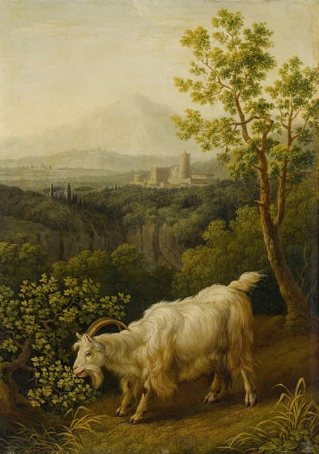 意大利风景中的公山羊