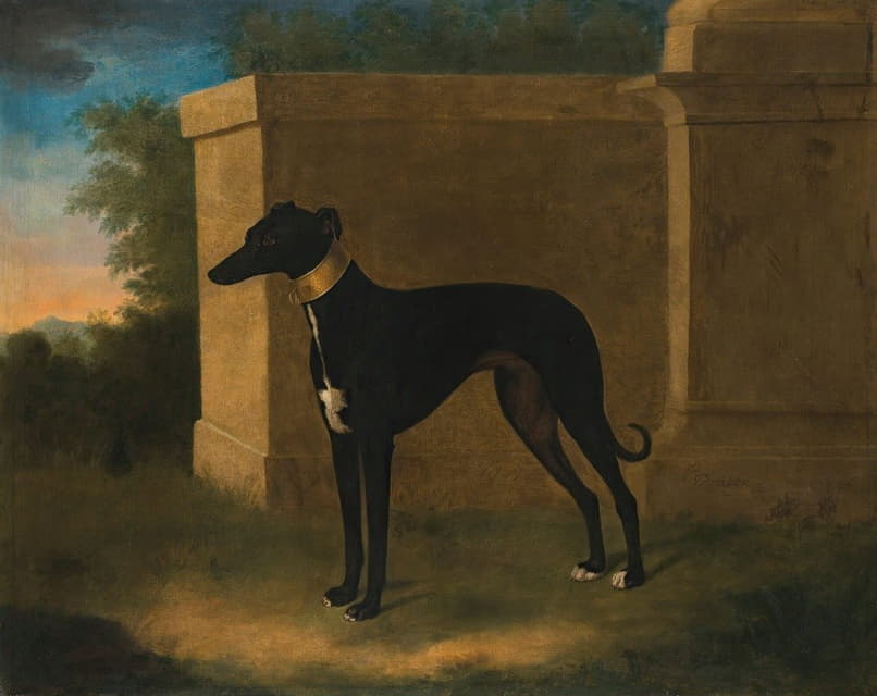 一只名叫庞彭的灰狗的肖像