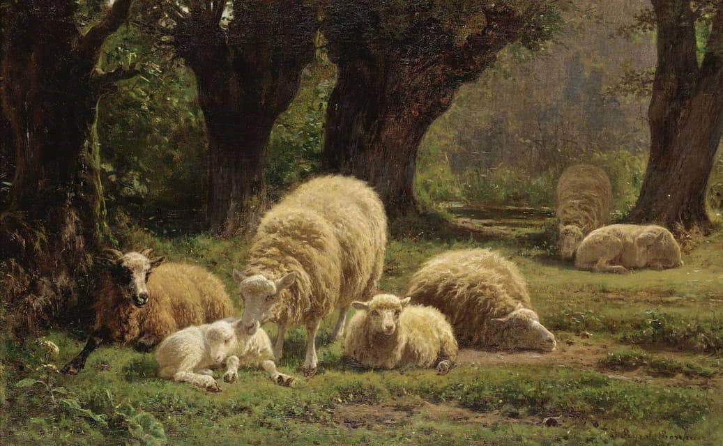 在树林空地上吃草的羊