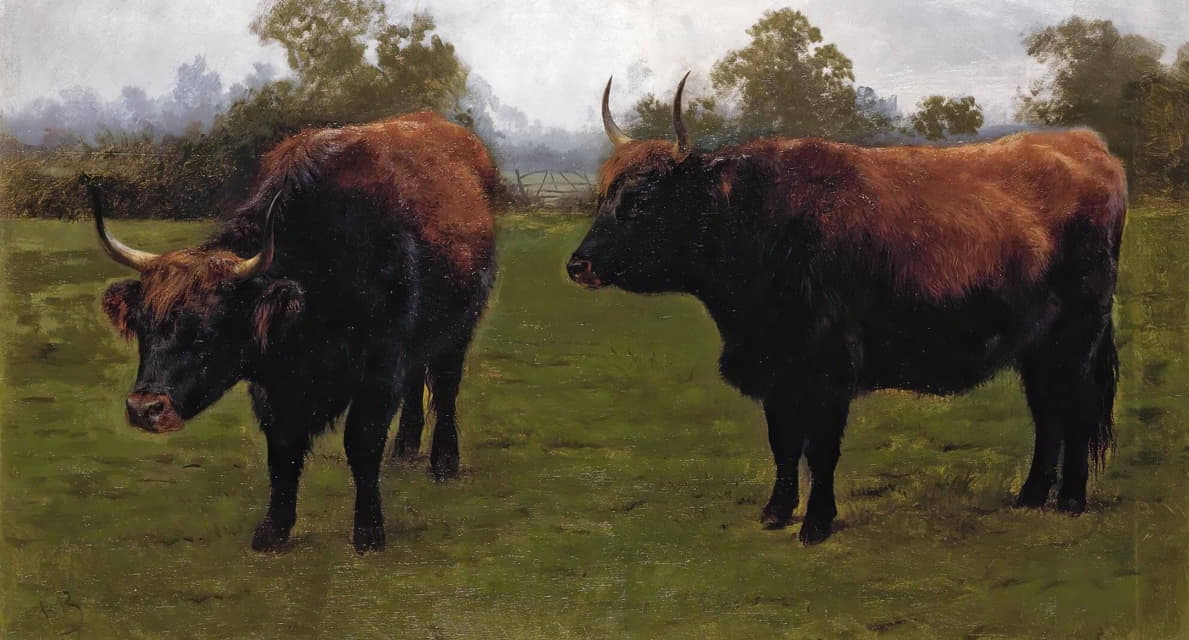 两只公牛在吃草