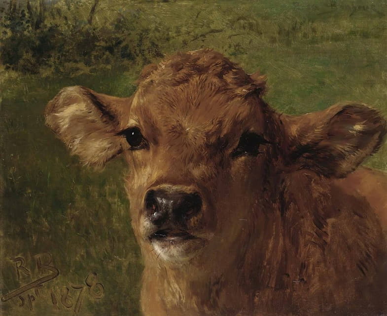 Rosa Bonheur - Head Of A Calf