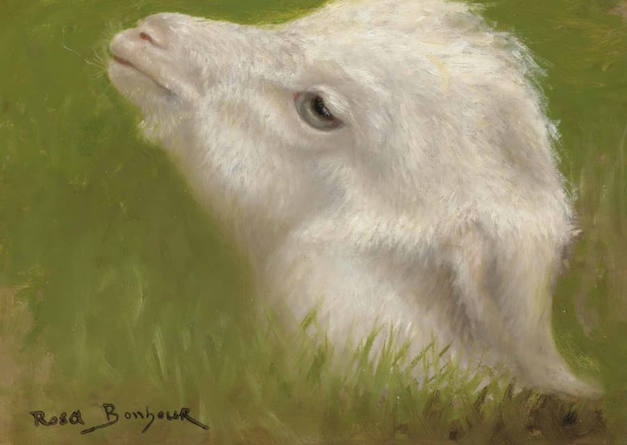 Rosa Bonheur - Head Of A Lamb