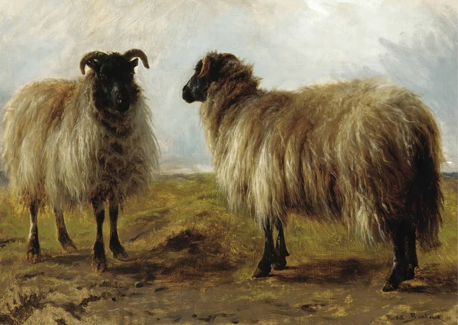 风景中的两只公羊