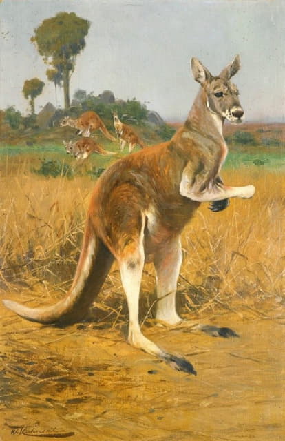 Wilhelm Kuhnert - Red Kangaroos In The Outback
