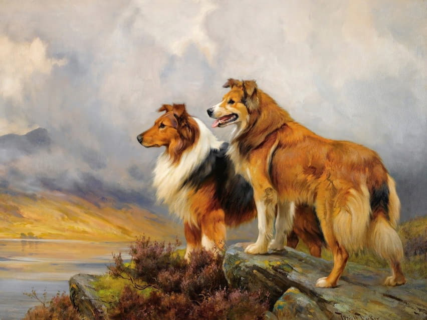 Wright Barker - Two Collies Above A Lake