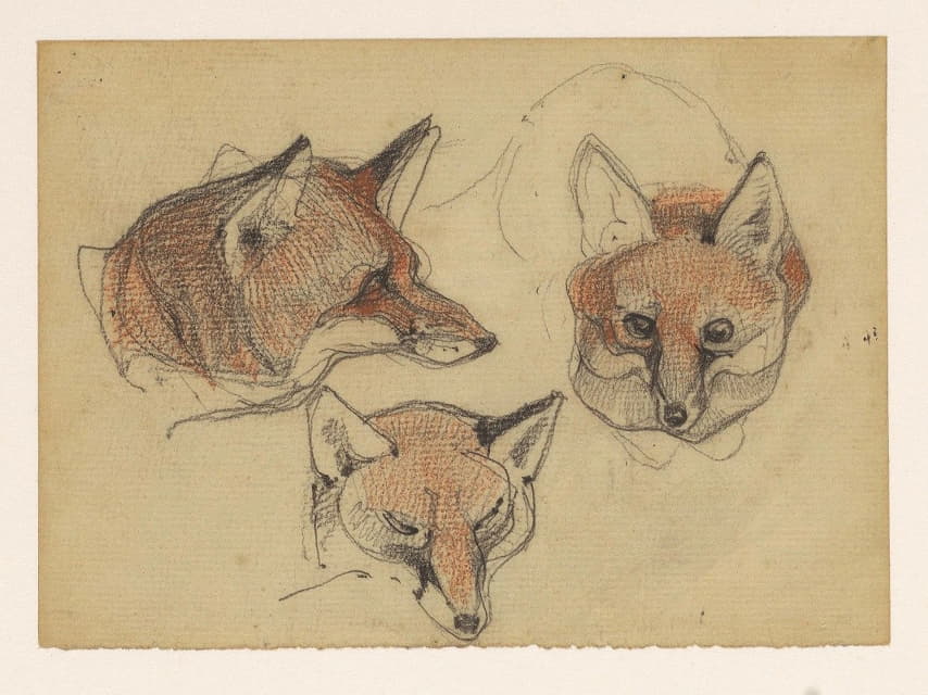 三个狐狸精