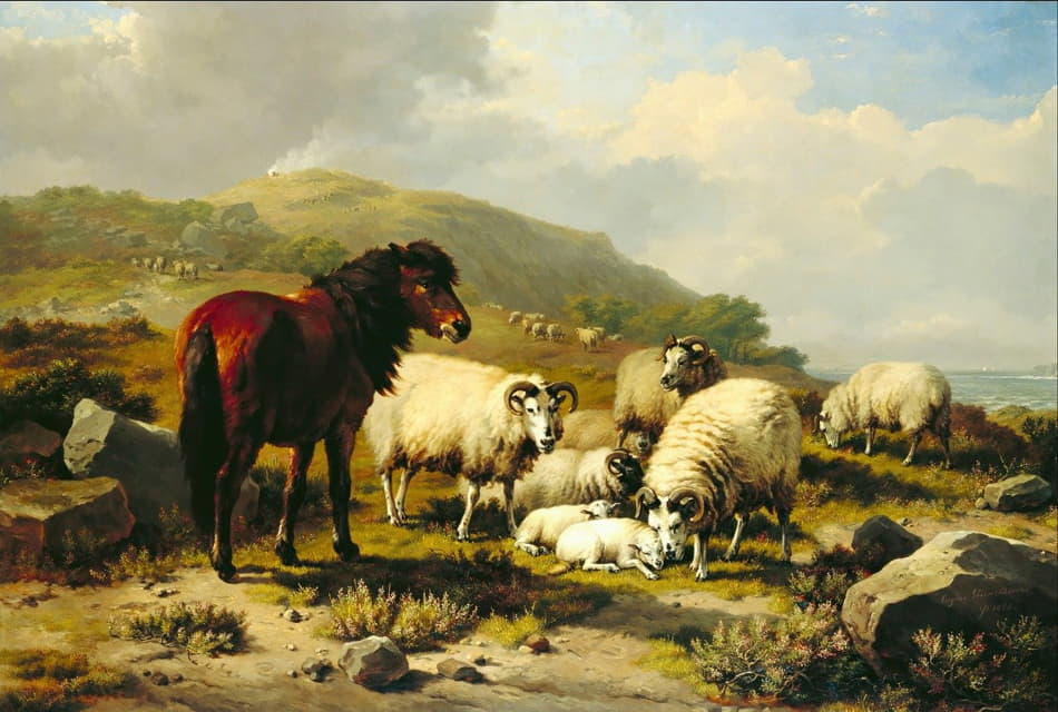 羊的风景