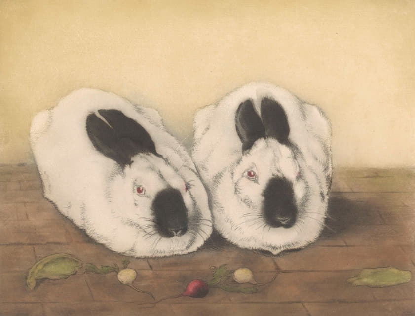 两只俄罗斯兔子