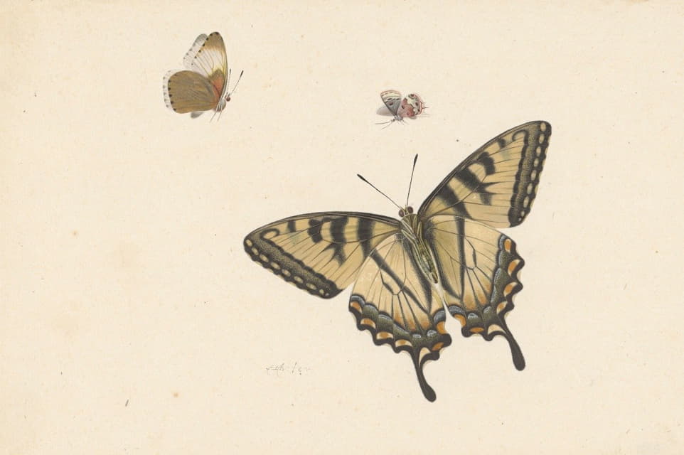 Herman Henstenburgh - Drie vlinders