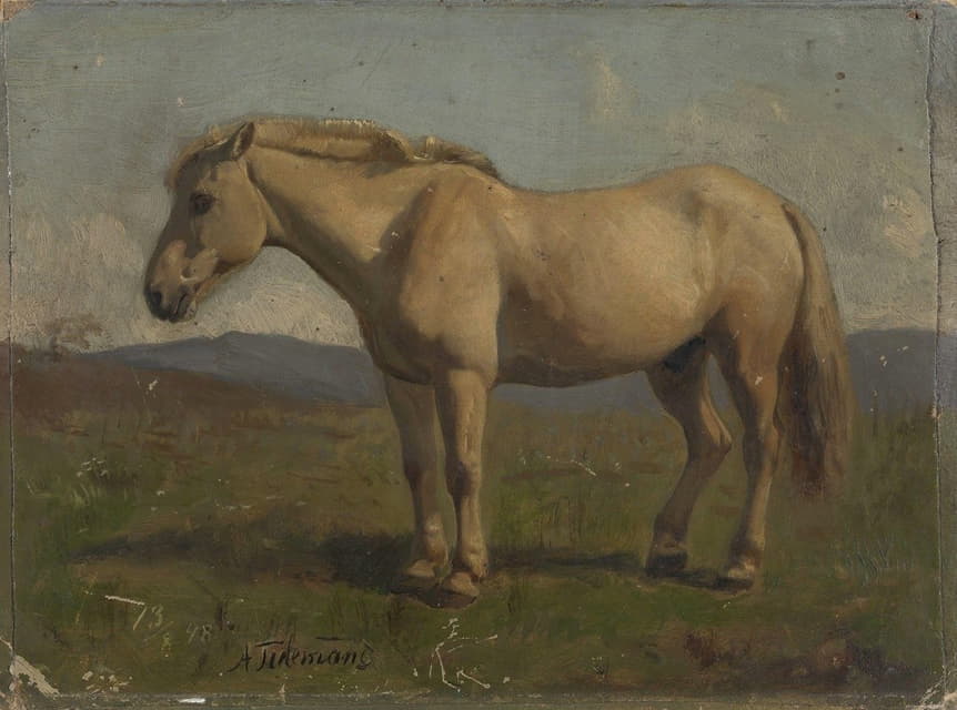 Adolph Tidemand - A Dun Horse