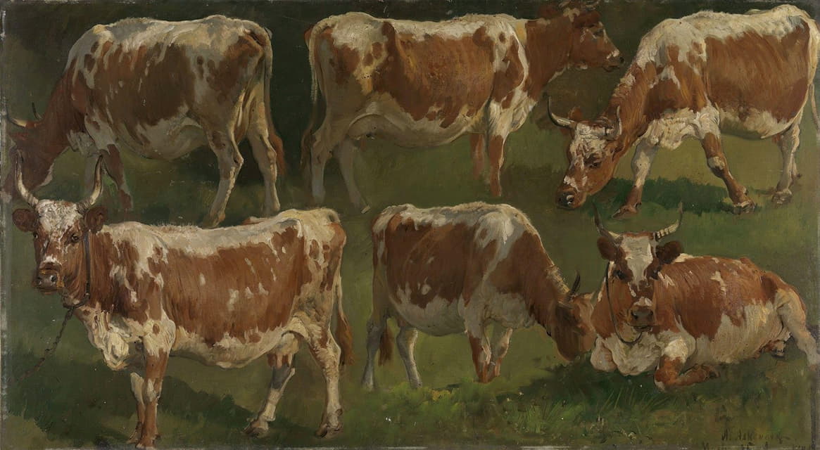 Anders Askevold - Study of Cows