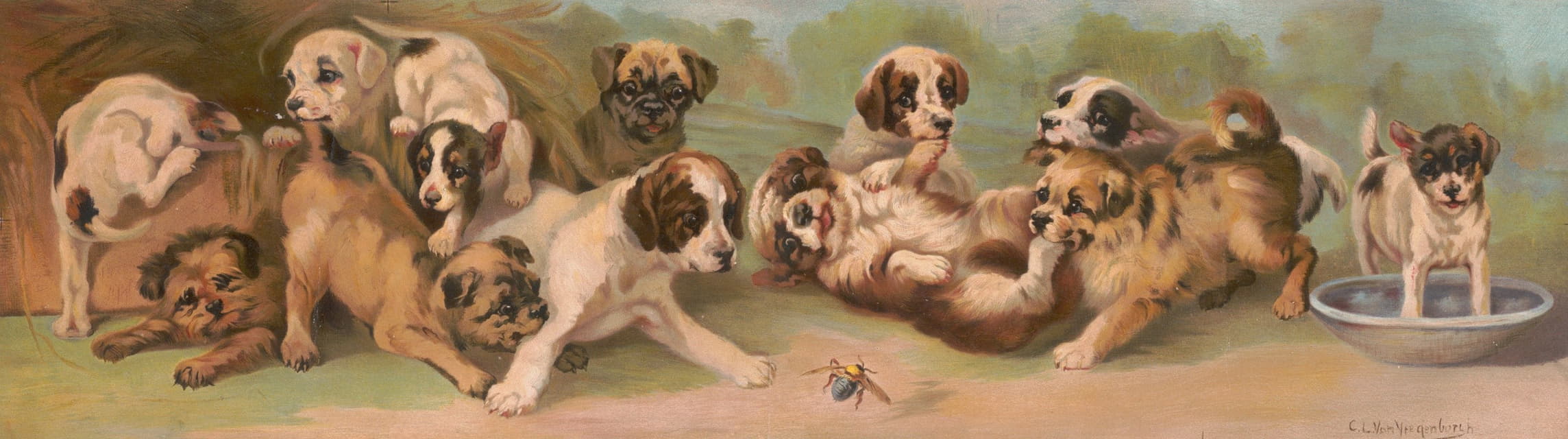 C.L. von Vregenborlh - Yard of puppies