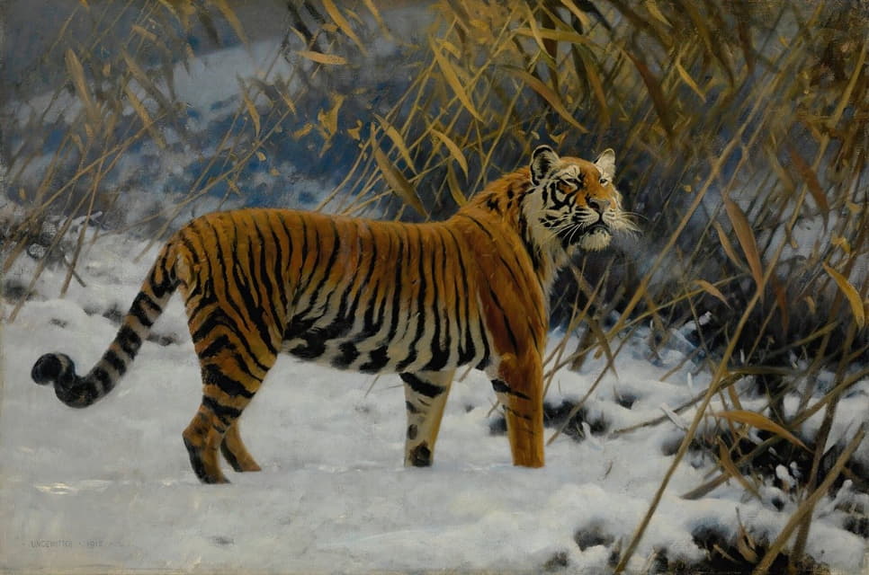 在雪地里徘徊的老虎