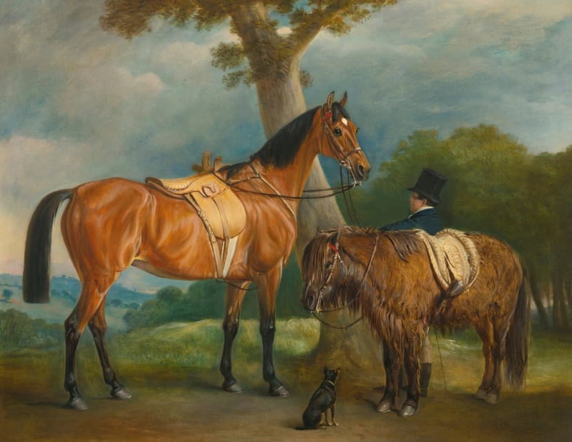 Thorold夫人的猎人和设得兰小马和新郎