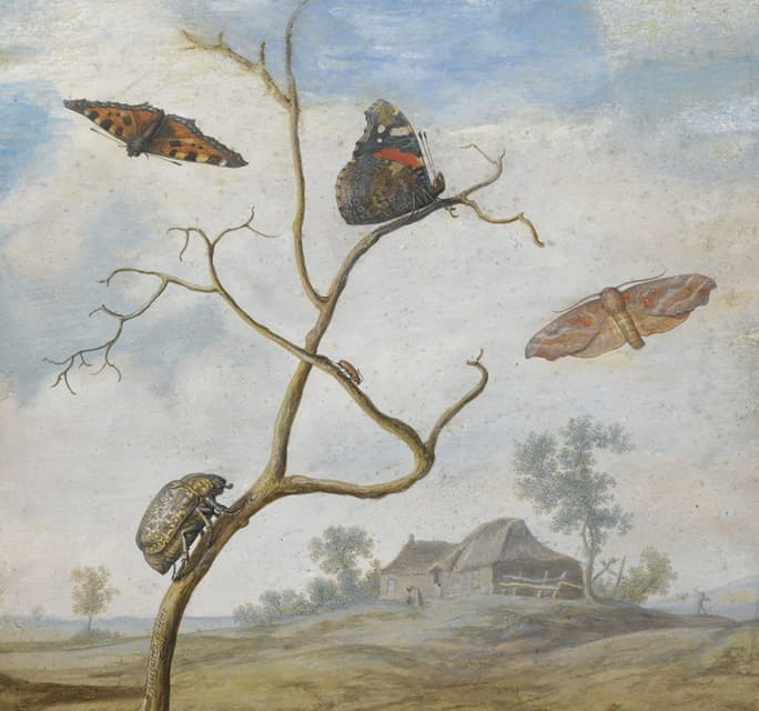 树枝上有一只金龟子，上面有两只蝴蝶、一只蛾子和一只小甲虫，后面是一片风景