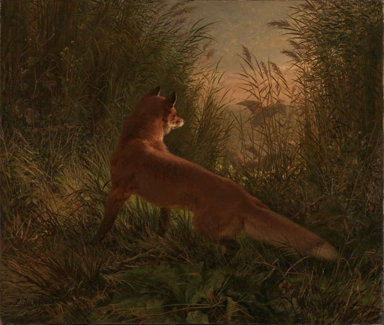 Siegwald Dahl - A Fox