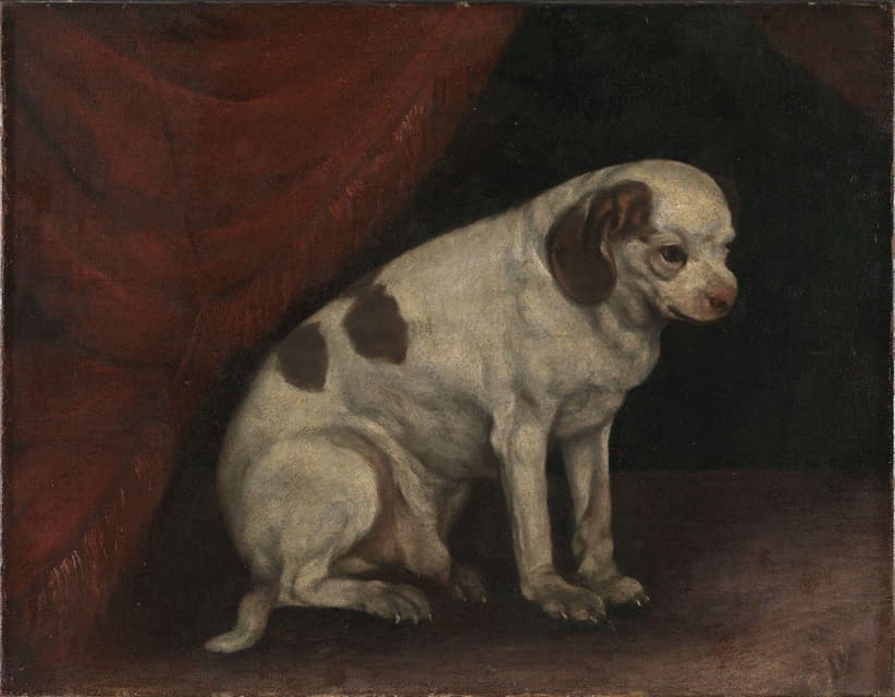 Anonymous - Seated dog