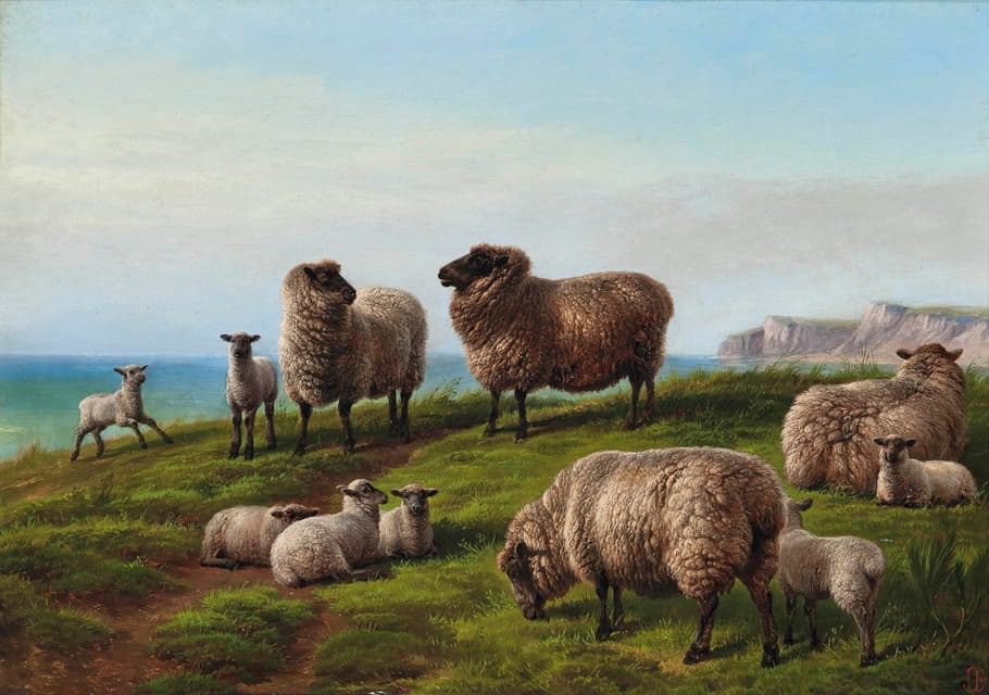 在岬角上吃草的羊