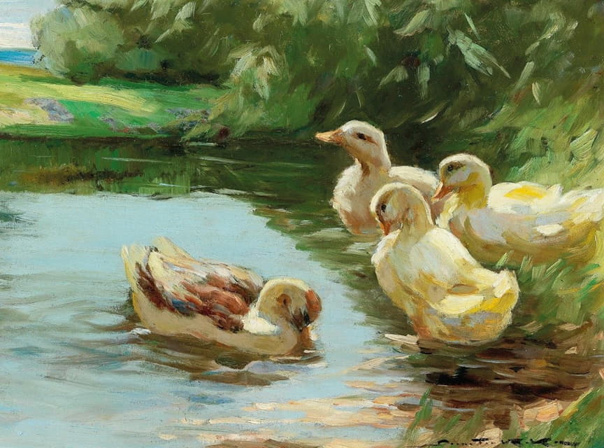 Demeter Koko - Ducks in the water