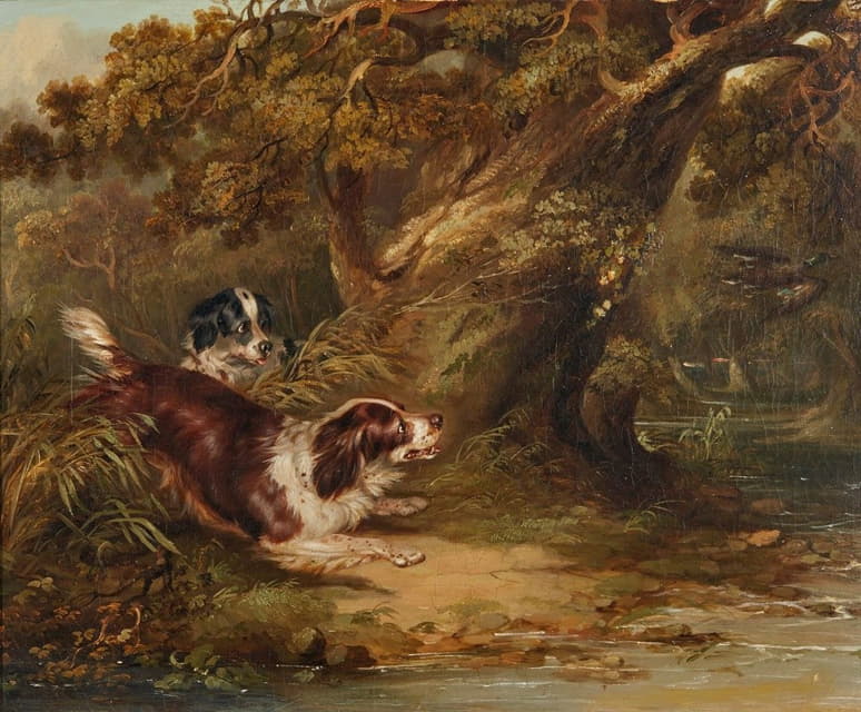 George Armfield - Spaniels putting up duck