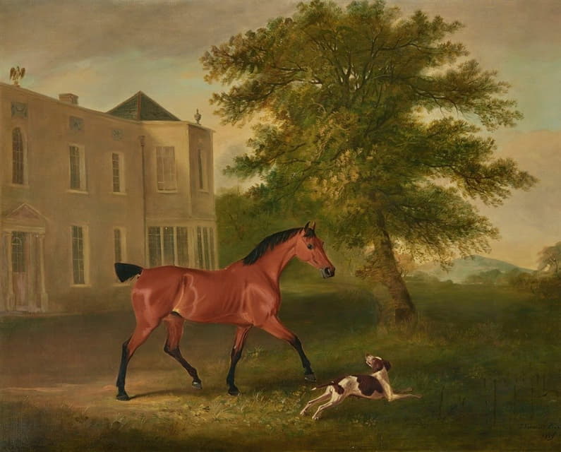 WicklowHumewood庄园外的一匹栗色马和一只猎犬