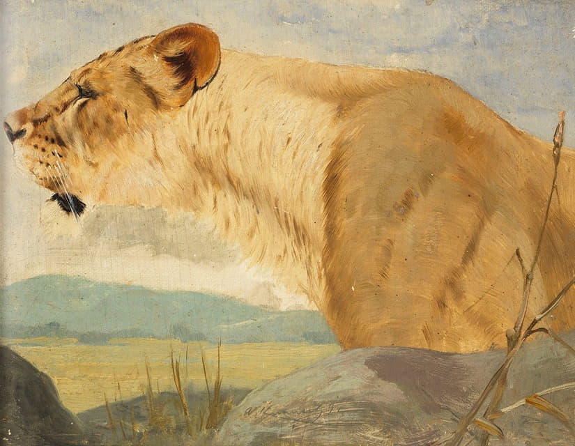 Wilhelm Kuhnert - Head of a Lioness