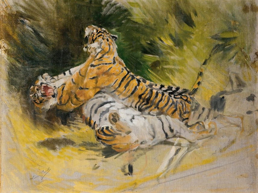 两只老虎在打架