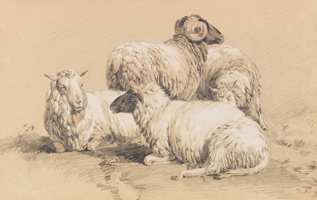 四只羊