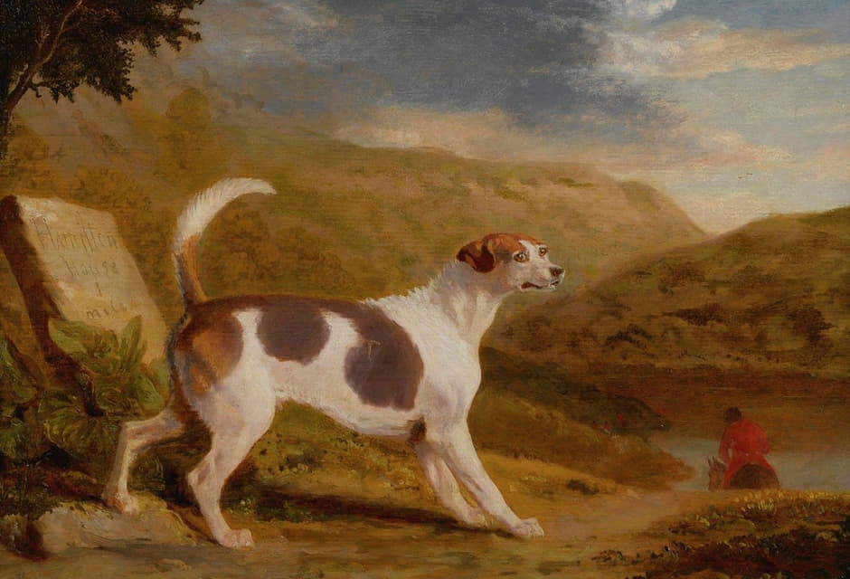 桑顿上校的猎犬“路西法”在苏格兰的风景