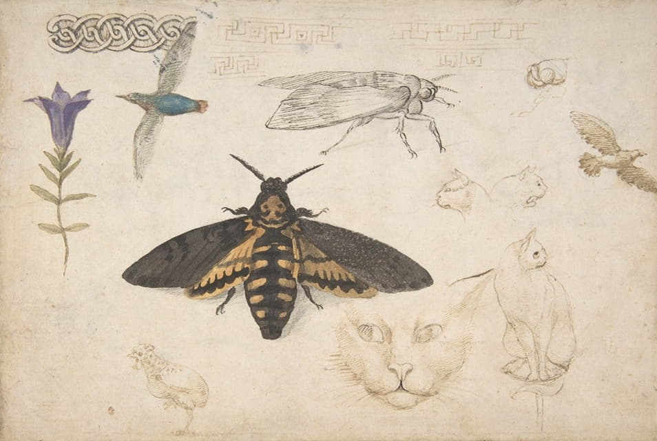 龙胆、蛾子、鸟、猫、交织图案