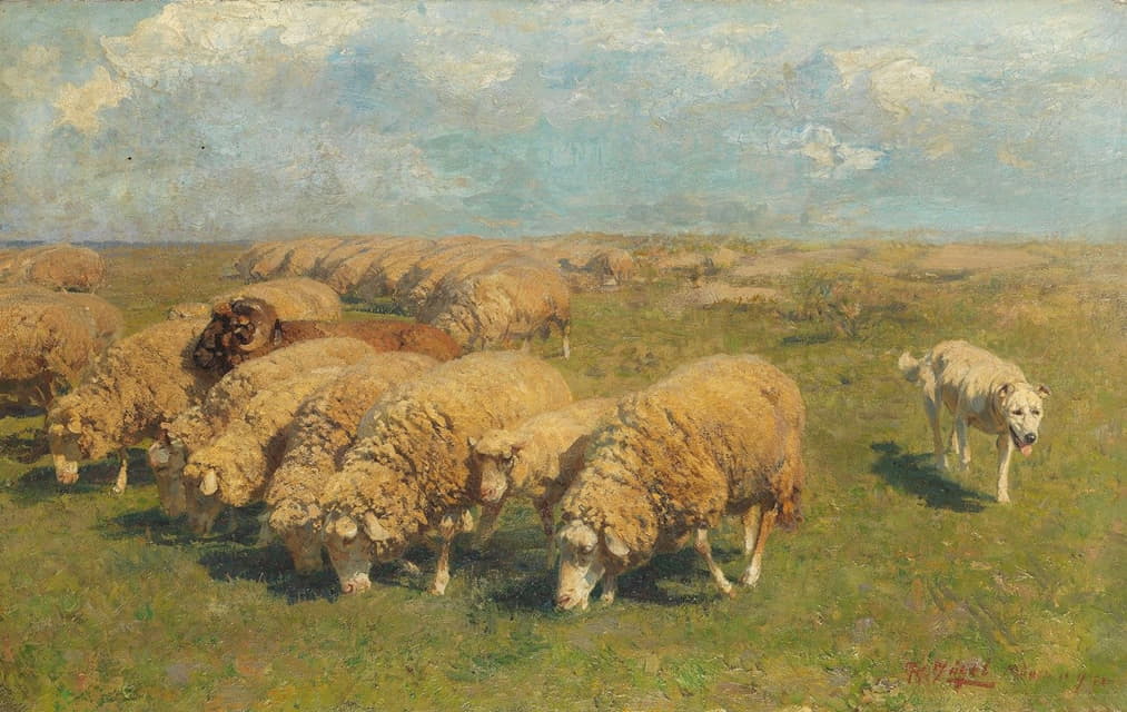 牧场上羊群和牧羊犬在一起