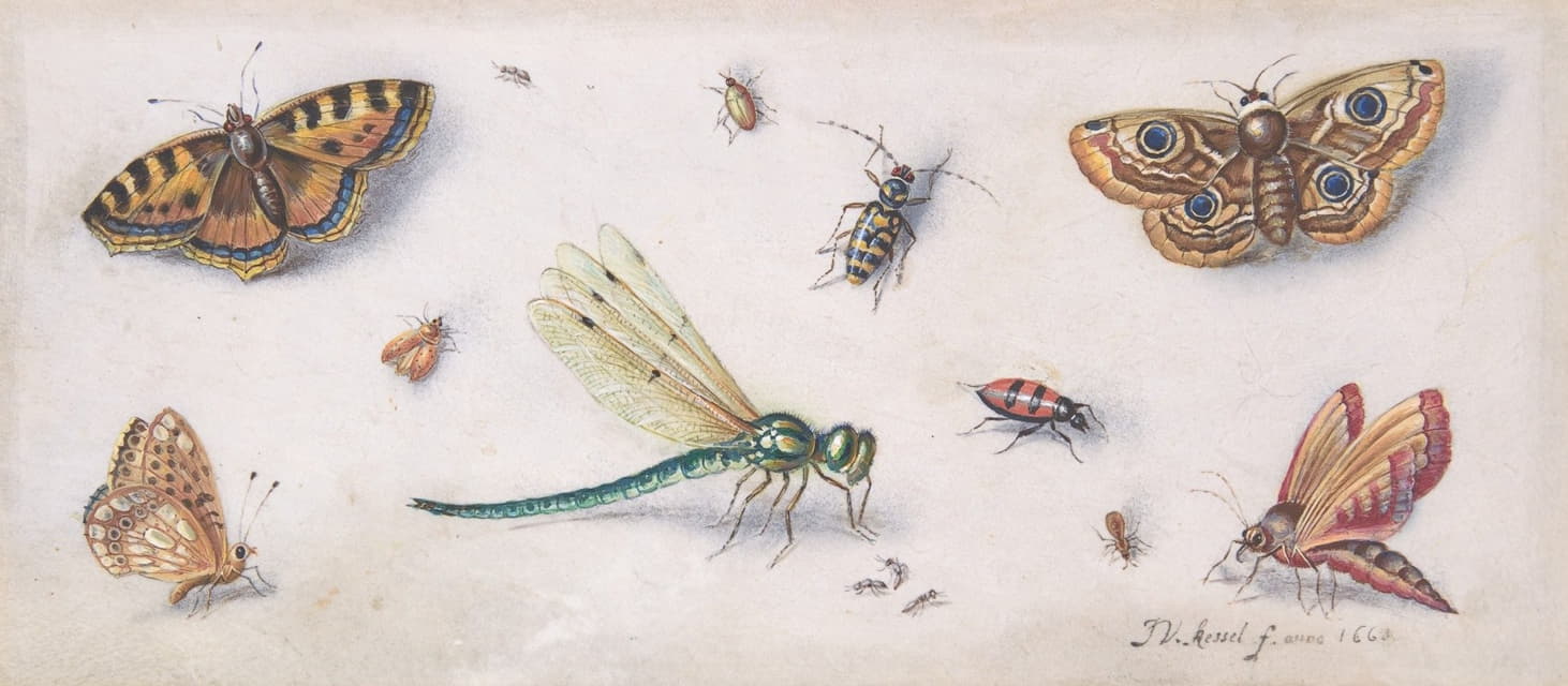 Jan Van Kessel The Elder - Insects, Butterflies, and a Dragonfly