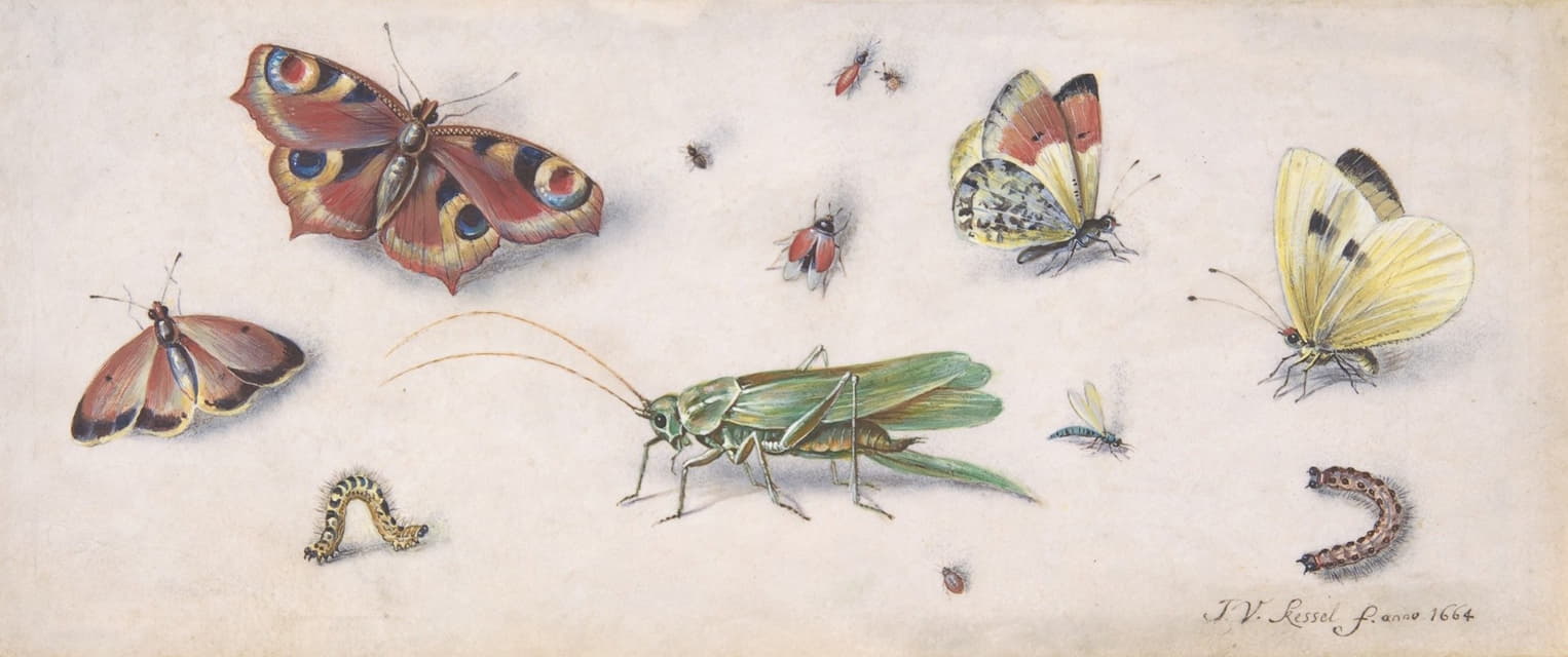 昆虫、蝴蝶和蚱蜢
