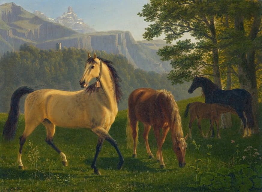马在风景之前马在风景中