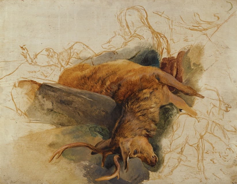 一只死鹿，上面画着一个恶棍和猎犬的草图