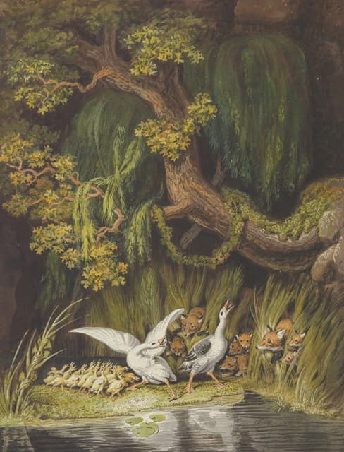 一只鹅和一只公鹅带着小鹅惊慌地鸣叫，两只狐狸带着它们的幼崽从灯心草中出来