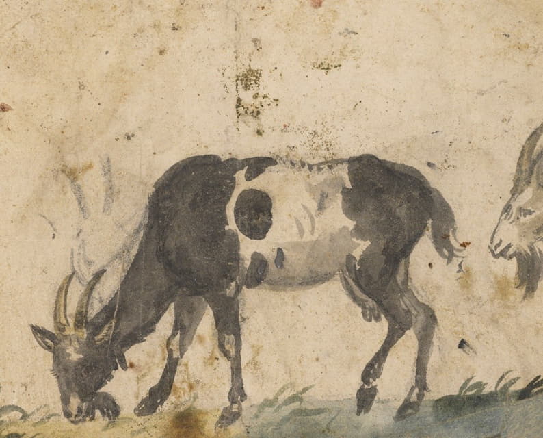 Lucas Cranach the Elder - Study of Goats