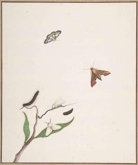 一条毛毛虫和树枝上的两只蛾子，还有两只蝴蝶