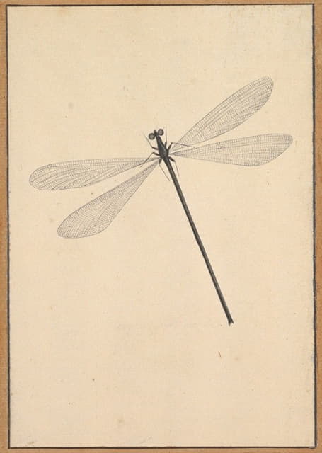 Nicolaas Struyk - A Dragonfly