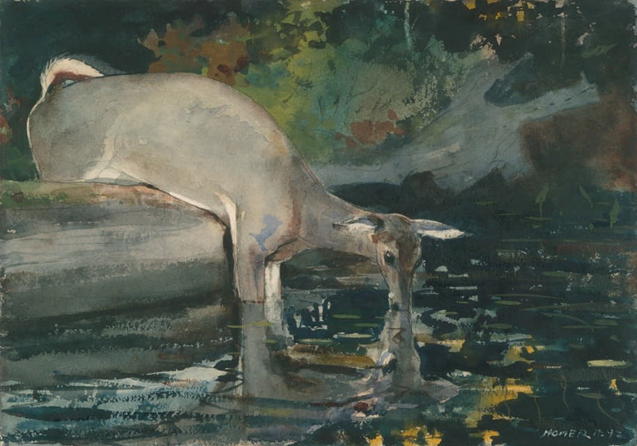 Winslow Homer - Deer Drinking