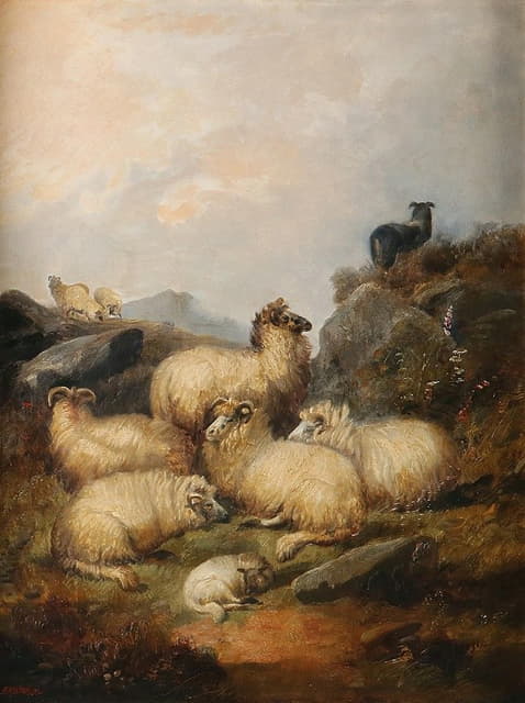 Alfred Morris - A flock of sheep in the Scottish Highlands
