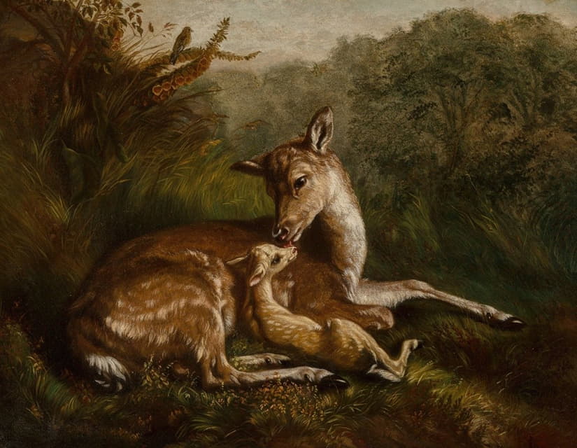 Arthur Fitzwilliam Tait - Deer and Fawn