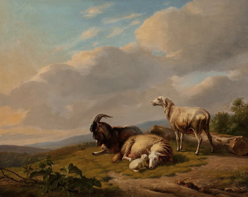 风景中的绵羊和山羊