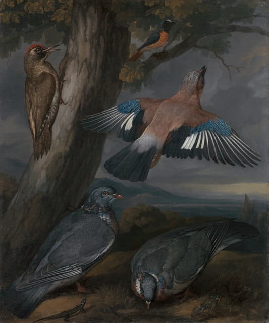 周杰伦、绿啄木鸟、鸽子和红起动鸟一只绿啄木鸟、一只周杰伦、两只鸽子、一只红起动鸟、一只蜥蜴和两只青蛙