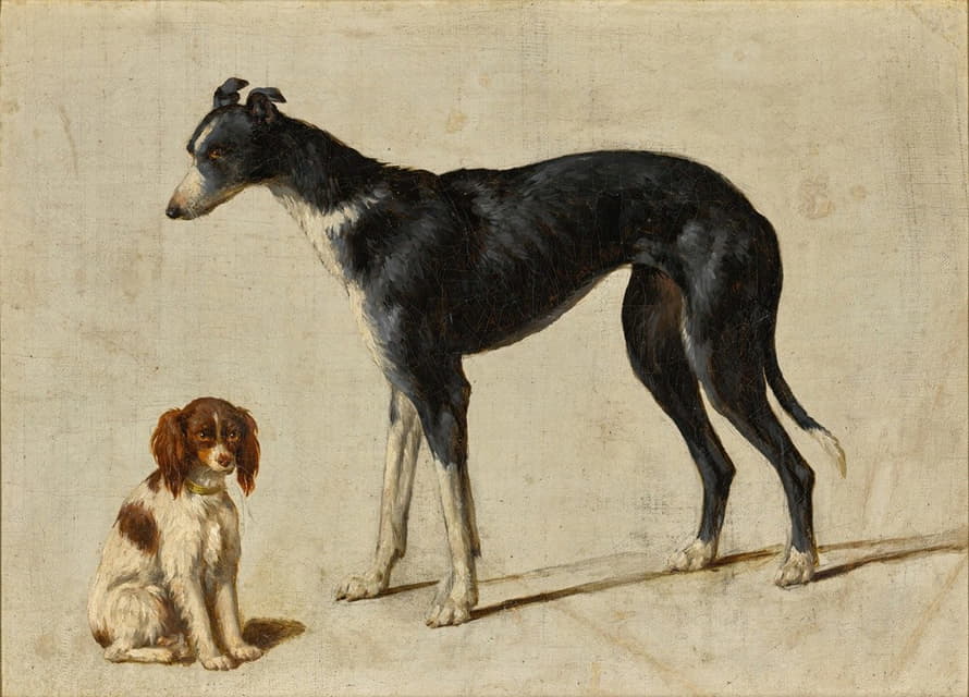 一只坐着的骑士查尔斯国王猎犬和一只站立的灰狗