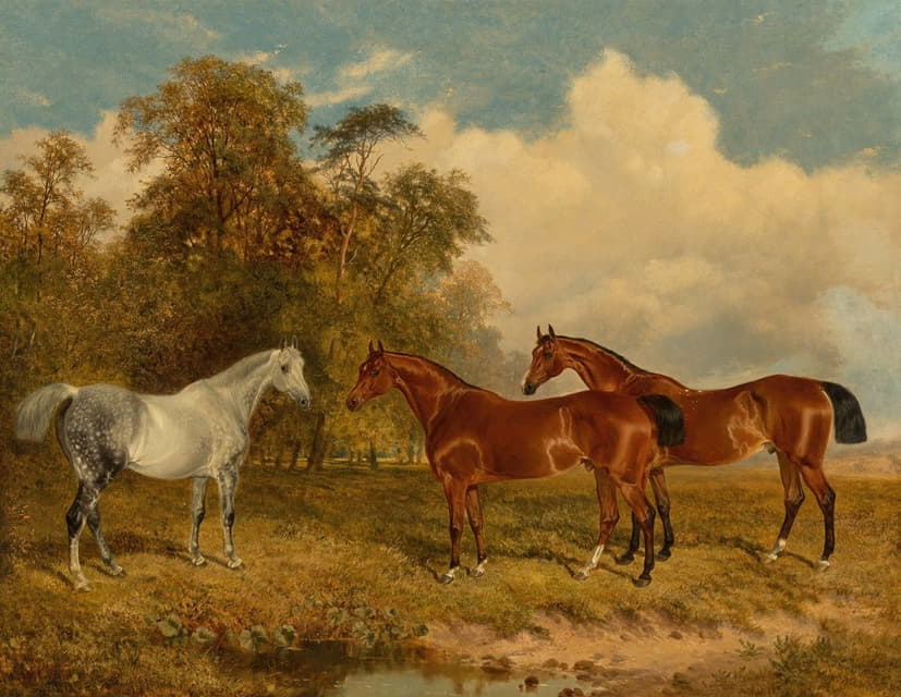 两匹海湾马和一匹斑驳的灰色马在左边有树的田野里