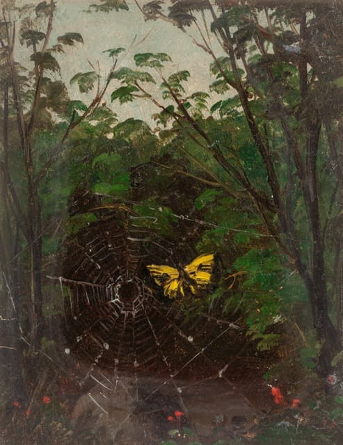 蜘蛛网中的蝴蝶