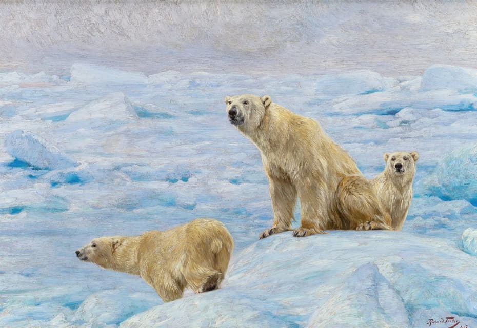 三只北极熊