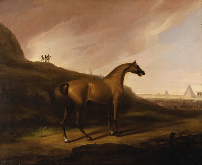 拿破仑的马