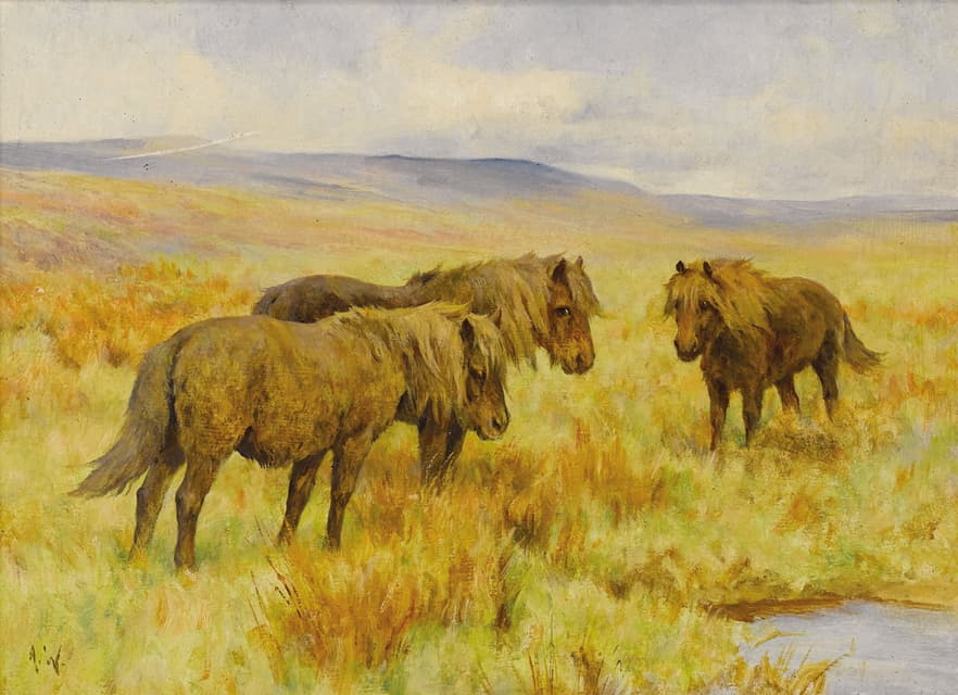 Arthur Wardle - Shetland Ponies